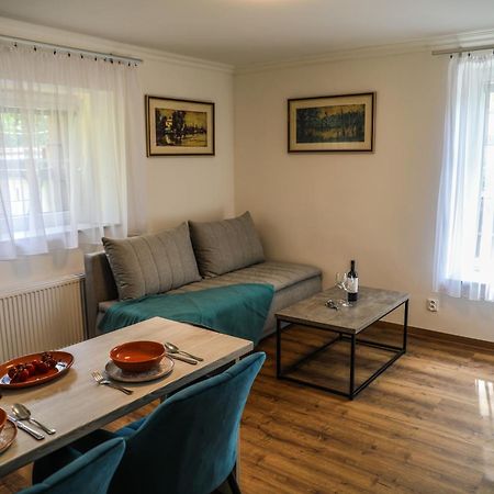 Apartment Irma Karlovy Vary Extérieur photo