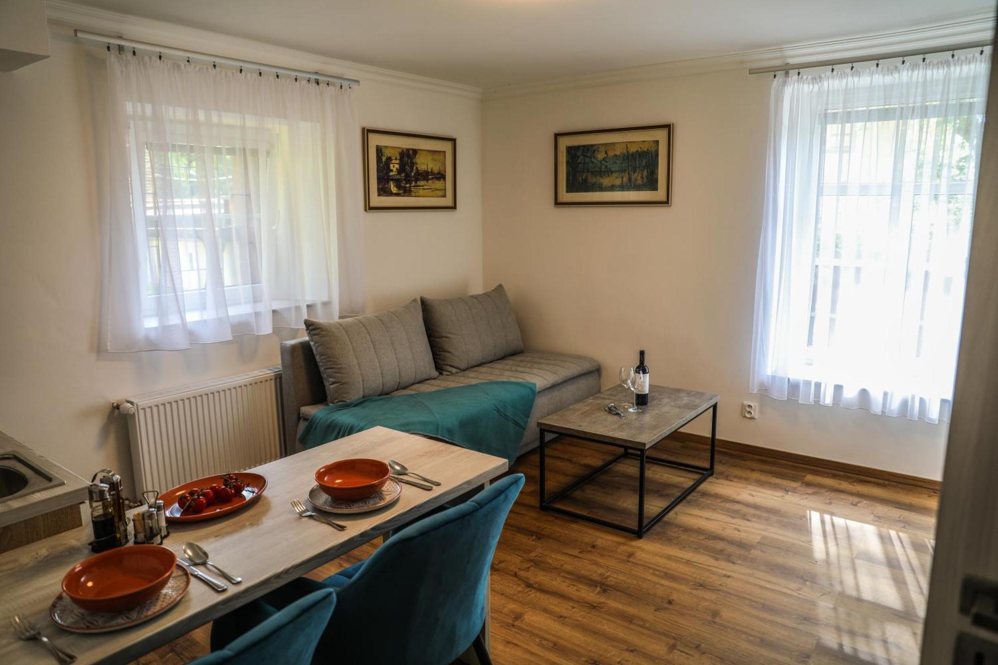 Apartment Irma Karlovy Vary Extérieur photo
